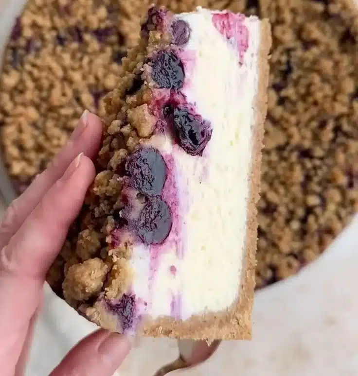 Blueberry Cheesecake